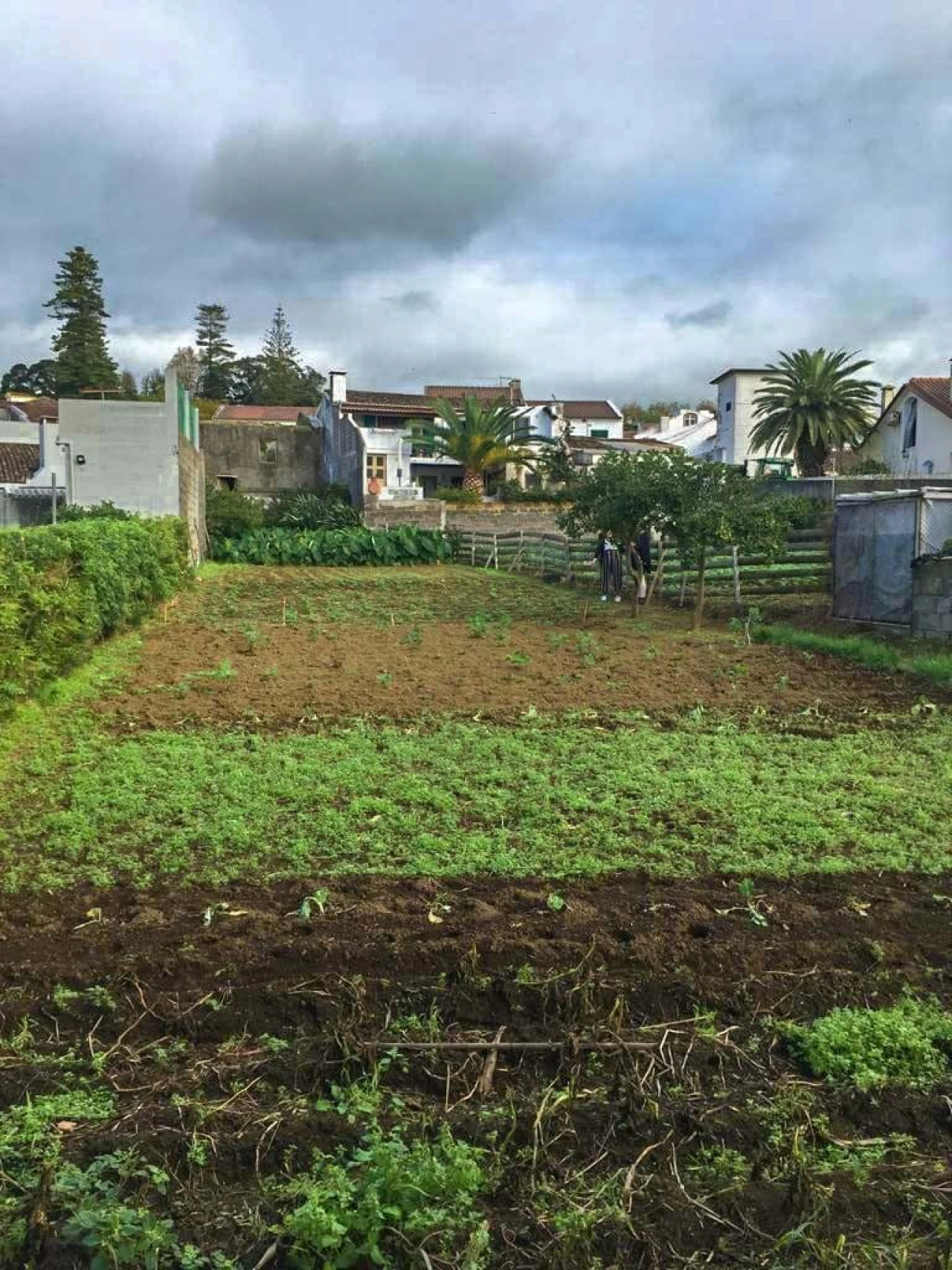 Moradia para Venda em Lagoa (Santa Cruz) Foto 11