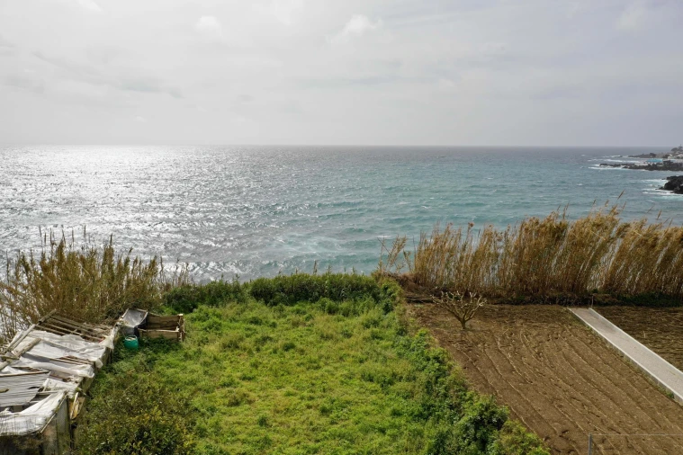 Moradia para Venda em Lagoa (Santa Cruz) Foto 2