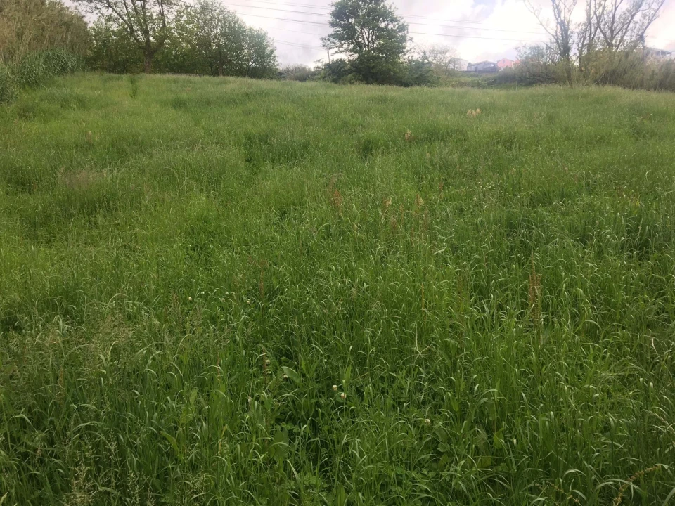 Terreno para Venda em Remedios Foto 5