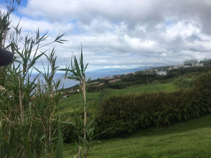 Terreno para Venda em Remedios Foto 6