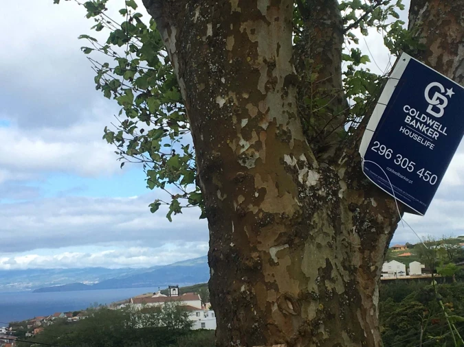 Terreno para Venda em Remedios Foto 7