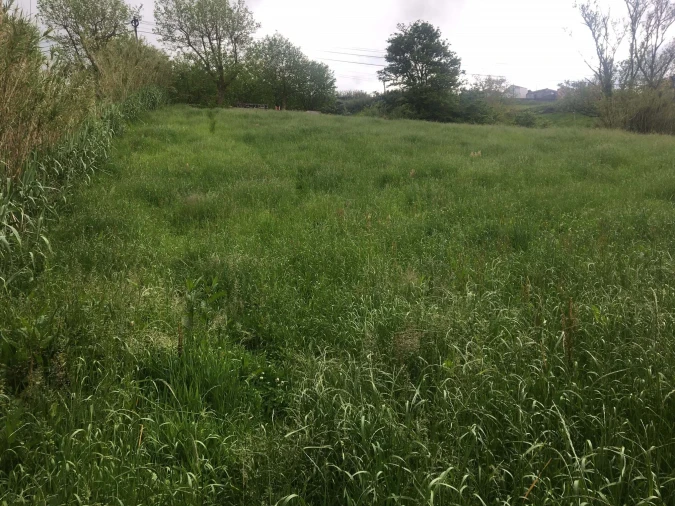 Terreno para Venda em Remedios Foto 1