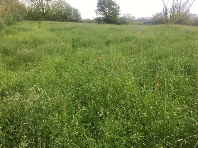 Terreno para Venda em Remedios Foto 3