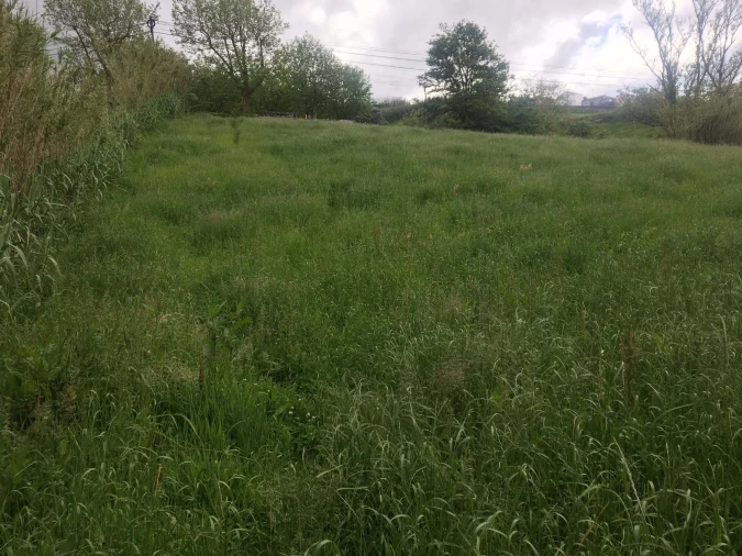 Terreno para Venda em Remedios Foto 2