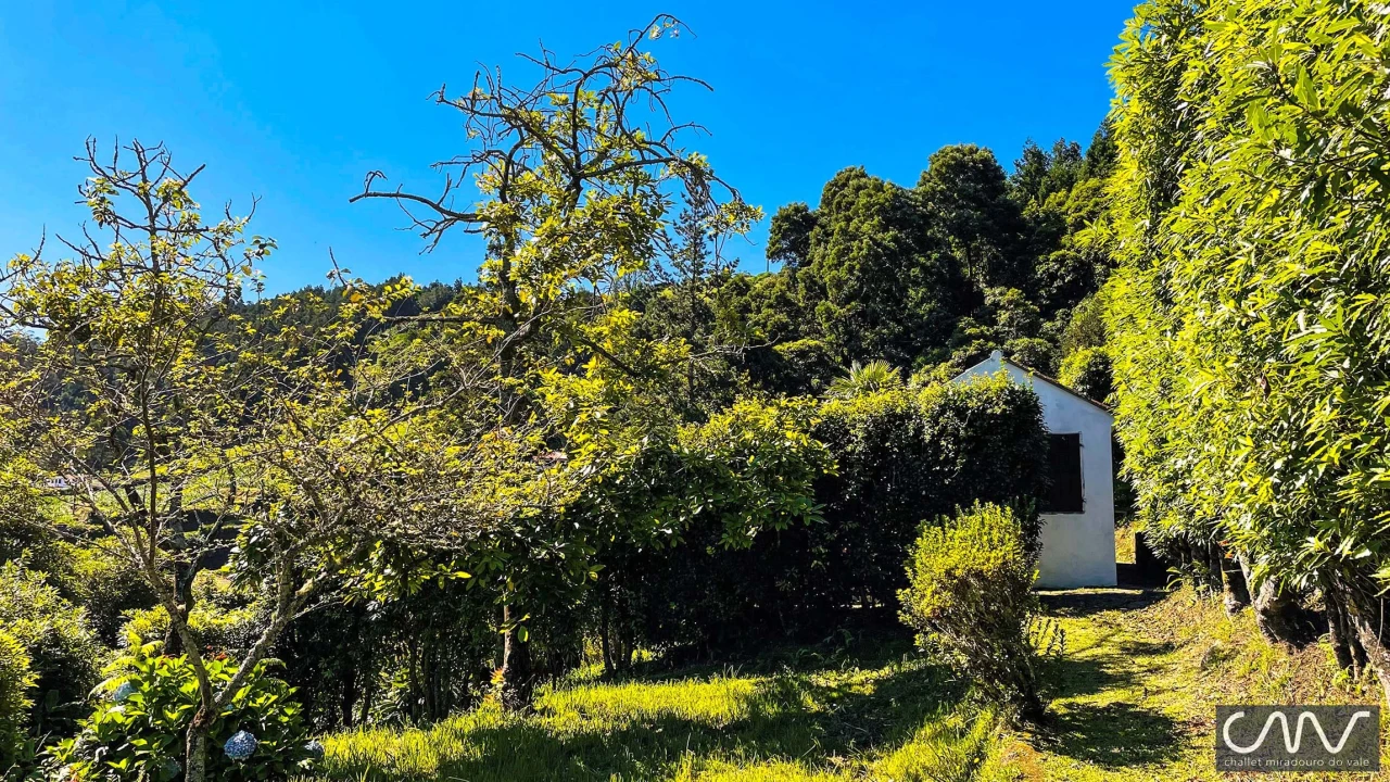 Moradia T3 para Venda em Furnas Foto 42