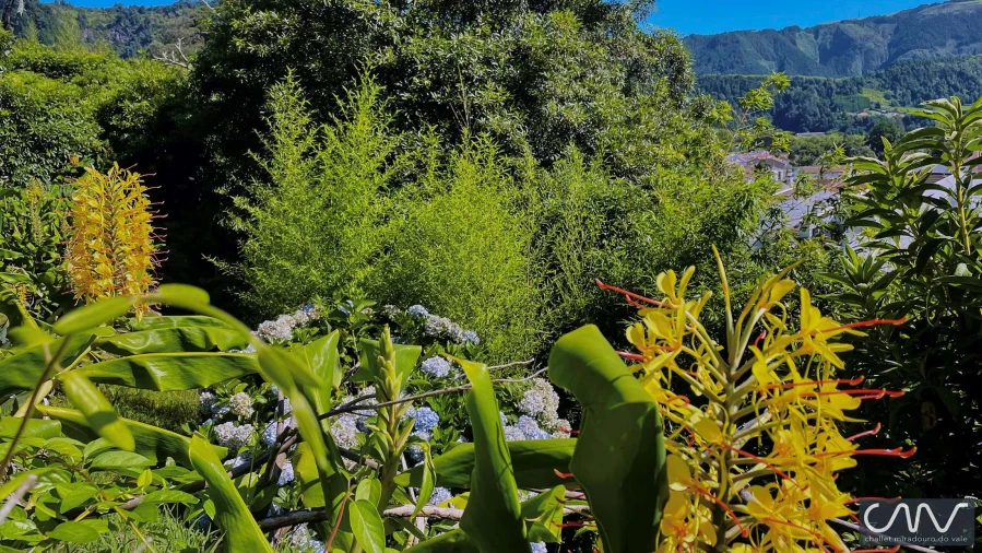 Moradia T3 para Venda em Furnas Foto 45