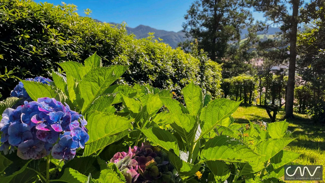 Moradia T3 para Venda em Furnas Foto 38