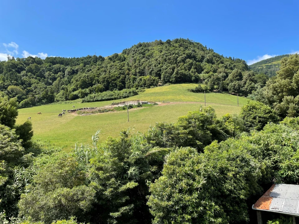 Moradia T3 para Venda em Vila Franca do Campo (São Miguel) Foto 4