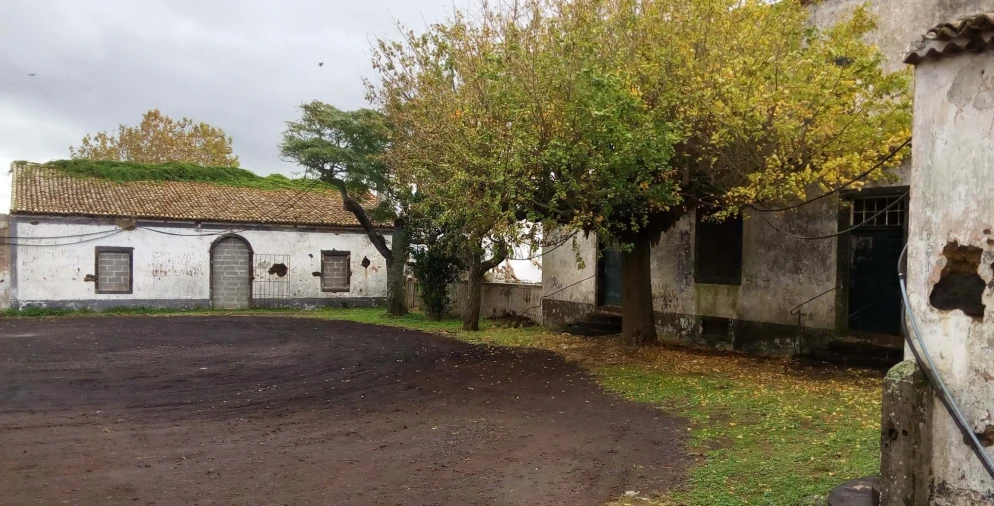 Quinta para Venda em Arrifes Foto 6