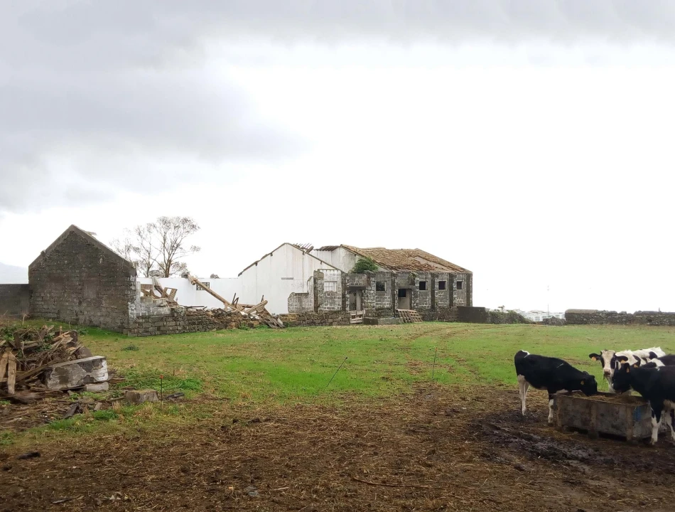 Quinta para Venda em Arrifes Foto 7