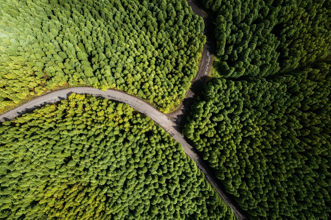 Quinta para Venda em Porto Formoso Foto 18