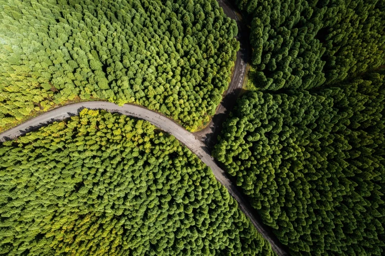 Quinta para Venda em Porto Formoso Foto 18