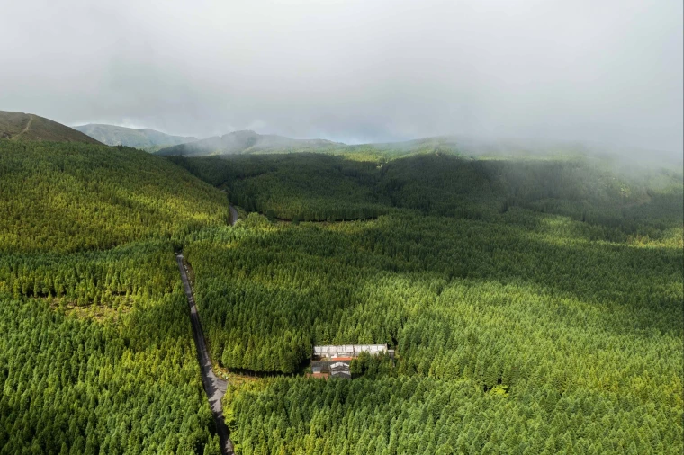 Quinta para Venda em Porto Formoso Foto 10