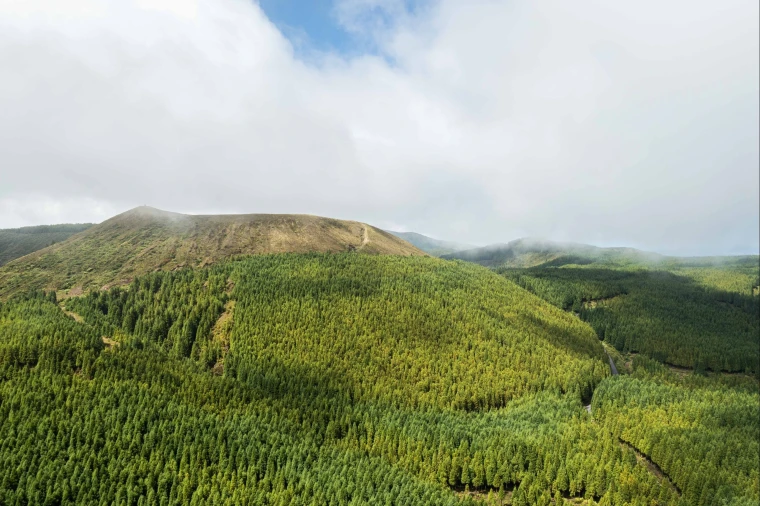 Quinta para Venda em Porto Formoso Foto 15