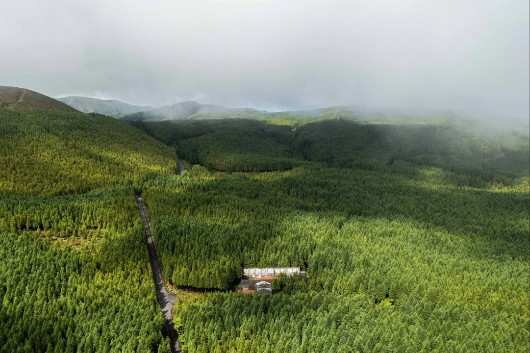 Quinta para Venda em Porto Formoso Foto 10