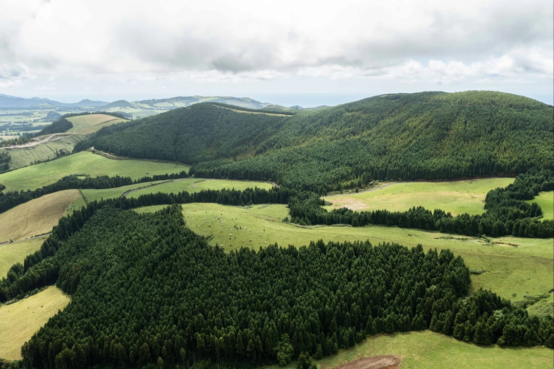 Quinta para Venda em Porto Formoso Foto 26