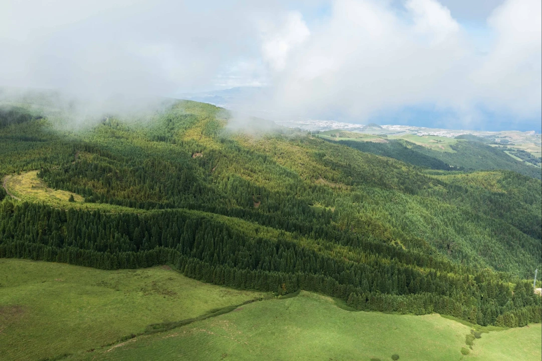 Quinta para Venda em Porto Formoso Foto 28