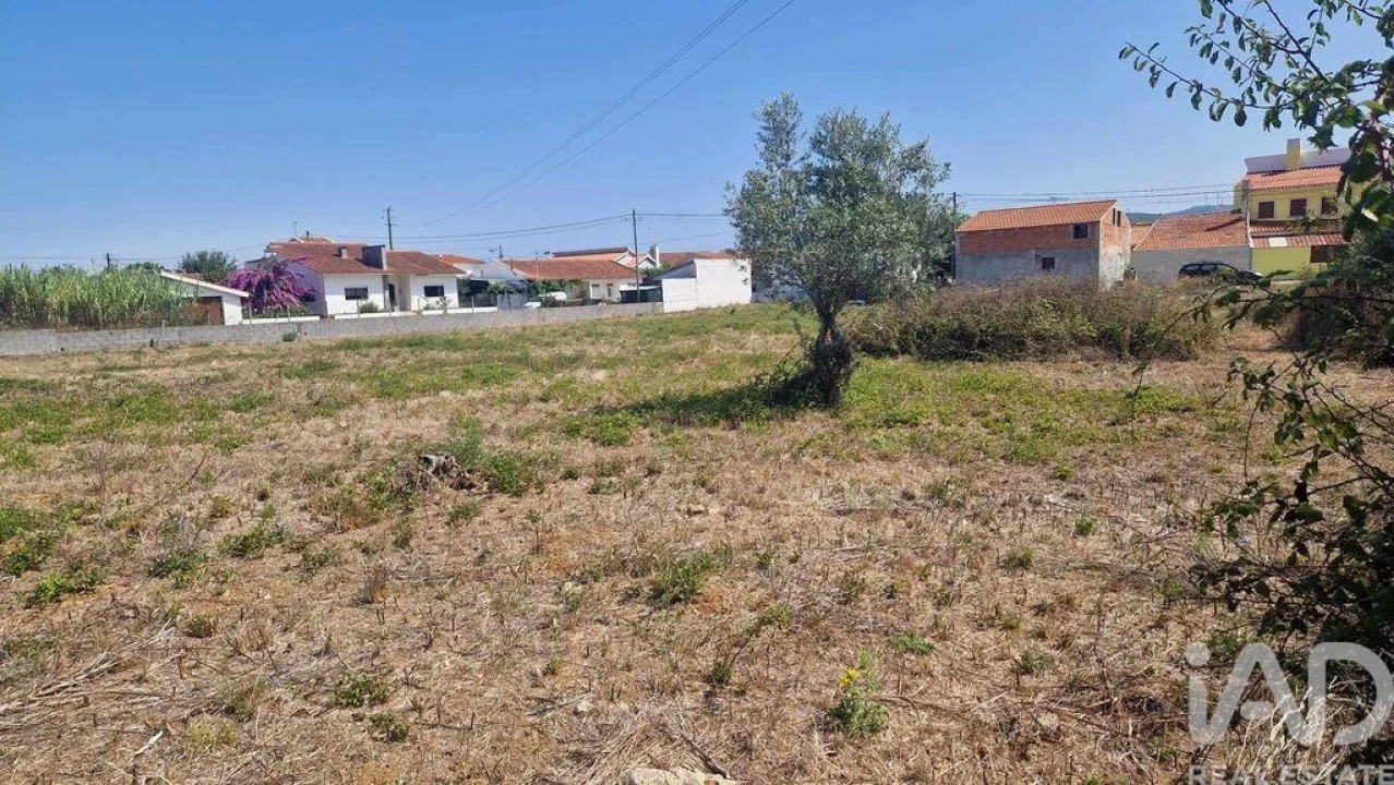 Terreno para Venda em Arrimal e Mendiga Foto 2