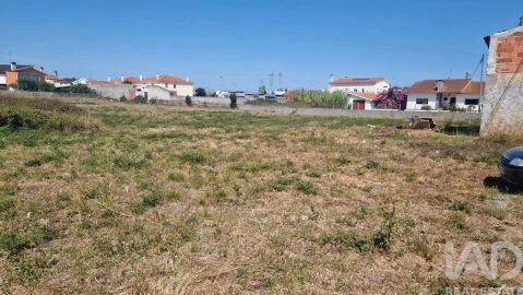 Terreno para Venda em Arrimal e Mendiga