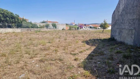 Terreno para Venda em Arrimal e Mendiga