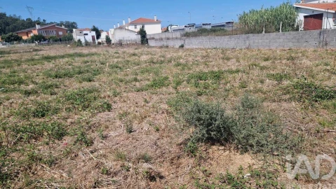 Terreno para Venda em Arrimal e Mendiga