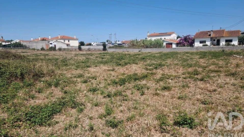 Terreno para Venda em Arrimal e Mendiga