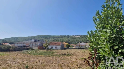 Terreno para Venda em Arrimal e Mendiga