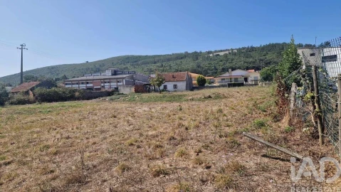 Terreno para Venda em Arrimal e Mendiga
