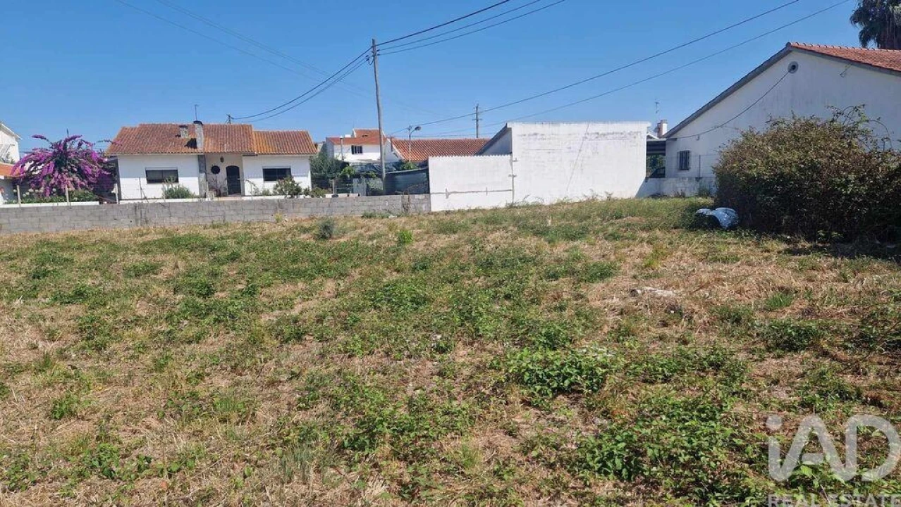 Terreno para Venda em Arrimal e Mendiga Foto 25