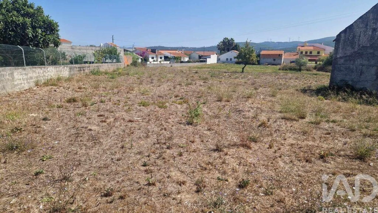 Terreno para Venda em Arrimal e Mendiga Foto 7