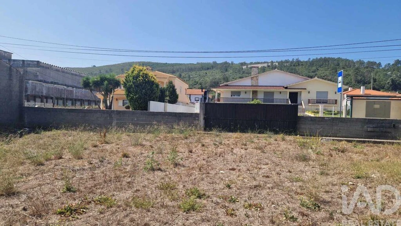 Terreno para Venda em Arrimal e Mendiga Foto 3