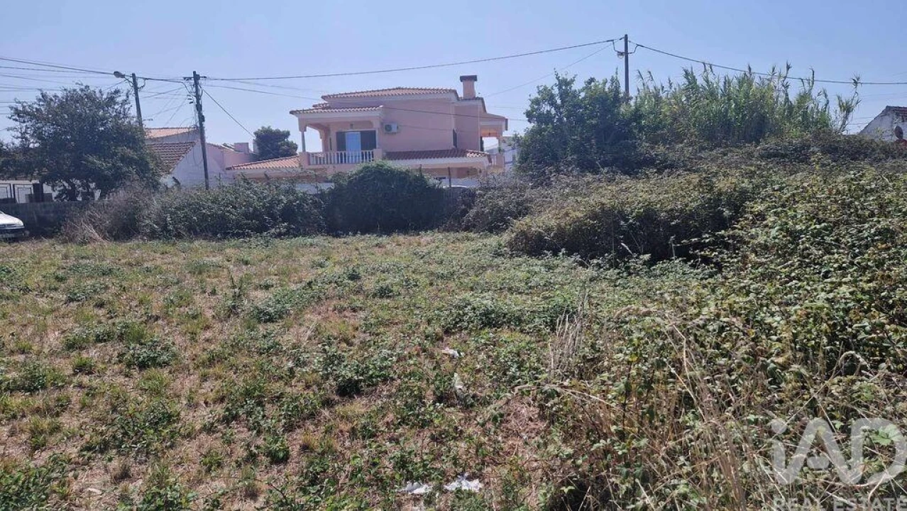 Terreno para Venda em Arrimal e Mendiga Foto 8
