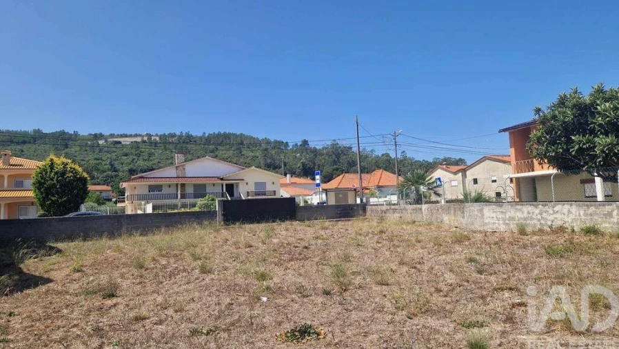 Terreno para Venda em Arrimal e Mendiga Foto 6