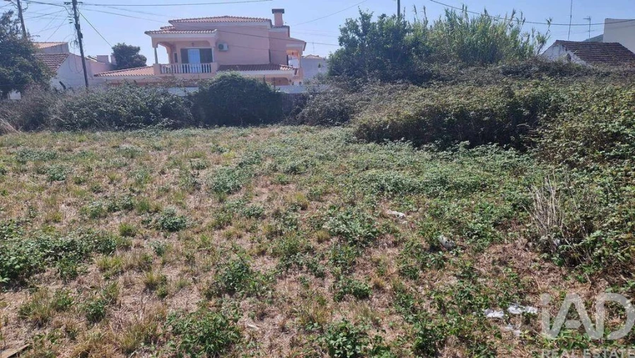 Terreno para Venda em Arrimal e Mendiga Foto 5
