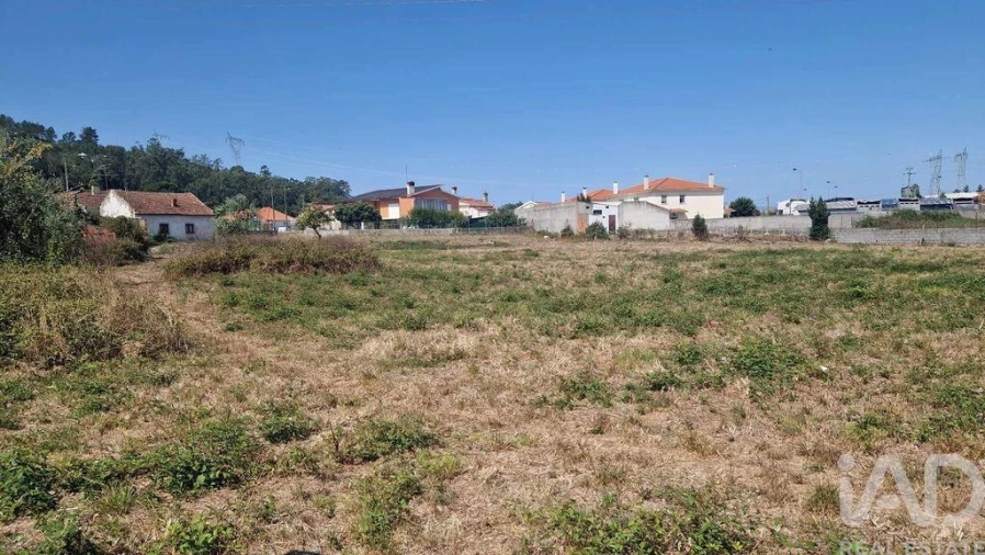 Terreno para Venda em Arrimal e Mendiga Foto 18