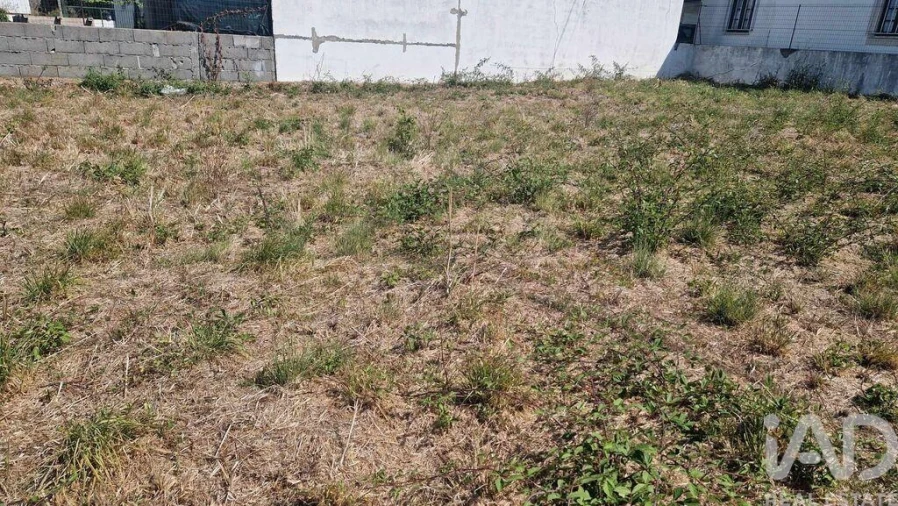 Terreno para Venda em Arrimal e Mendiga Foto 21