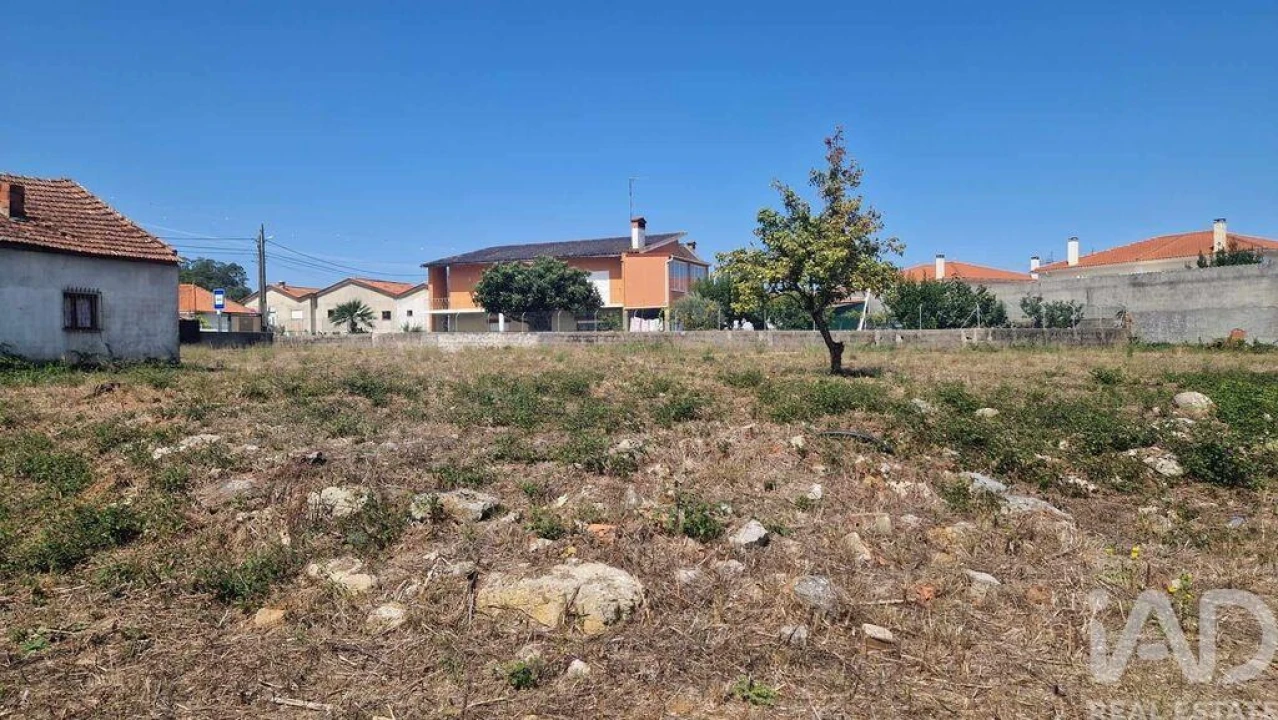 Terreno para Venda em Arrimal e Mendiga Foto 9