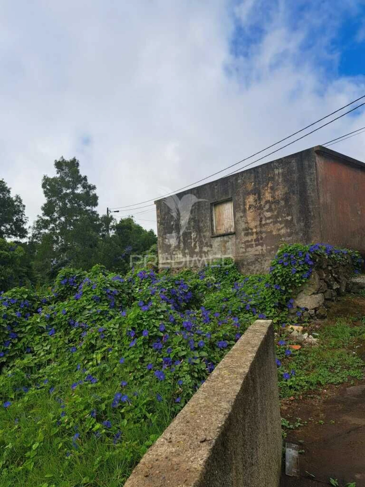 Terreno para Venda em Posto Santo Foto 3