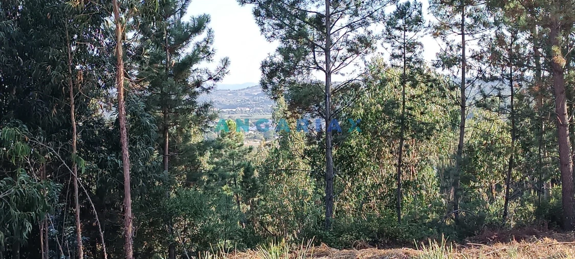 Terreno para Venda em Leiria, Pousos, Barreira e Cortes Foto 3