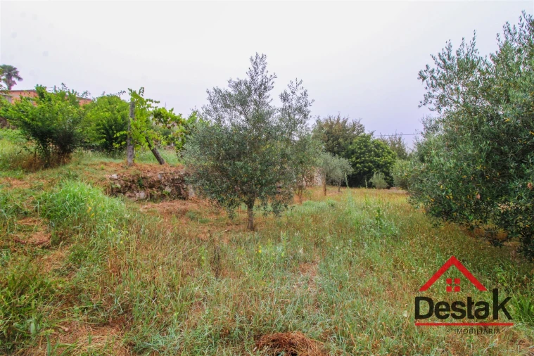 Quinta T9 para Venda em Vila Maior Foto 33