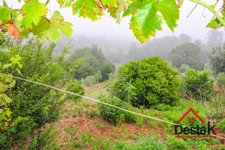 Quinta T9 para Venda em Vila Maior Foto 31