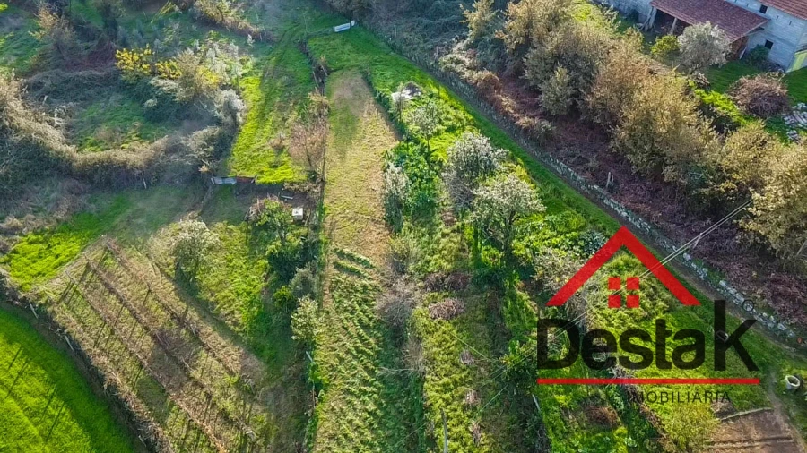 Quinta T9 para Venda em Vila Maior Foto 37