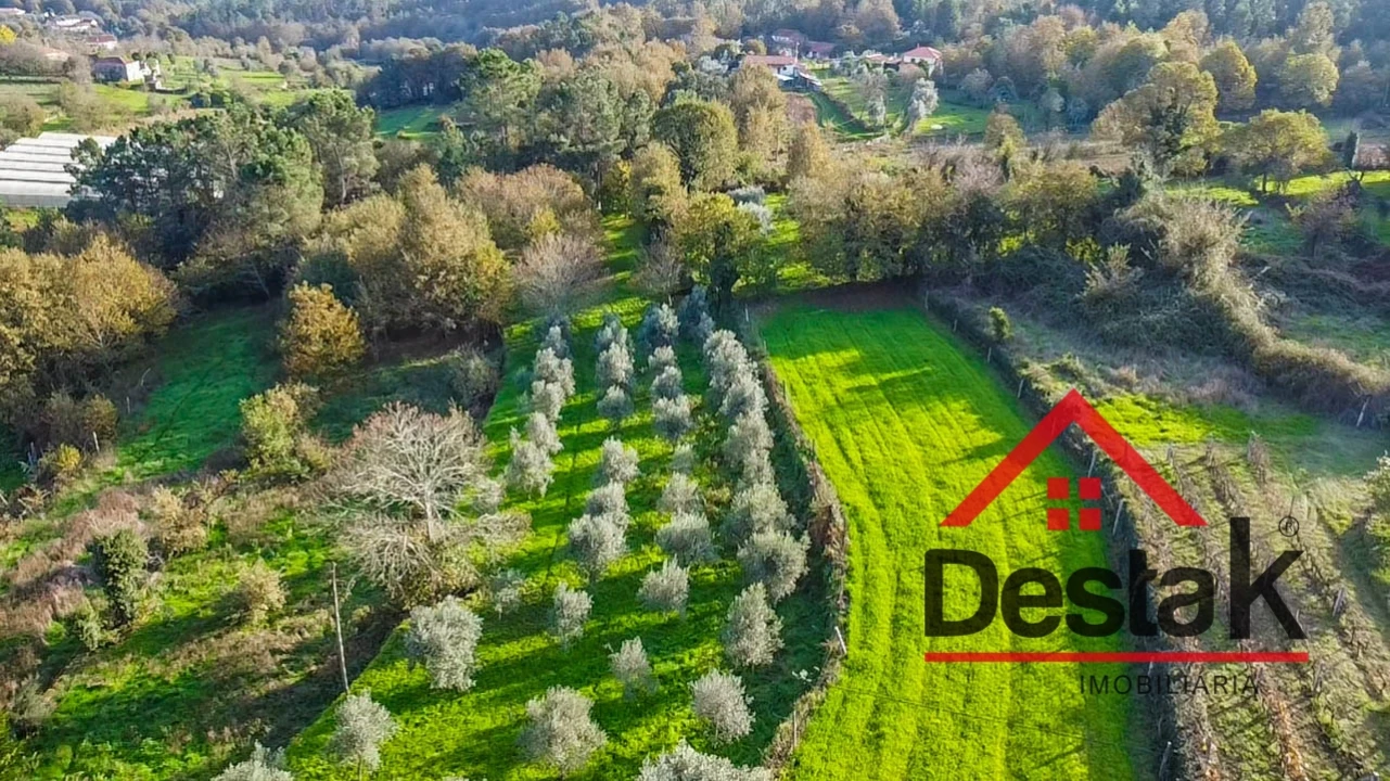 Quinta T9 para Venda em Vila Maior Foto 36