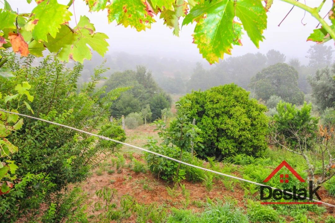 Quinta T9 para Venda em Vila Maior Foto 31
