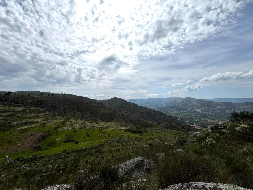 Quinta T0 para Venda em Alvendre Foto 15