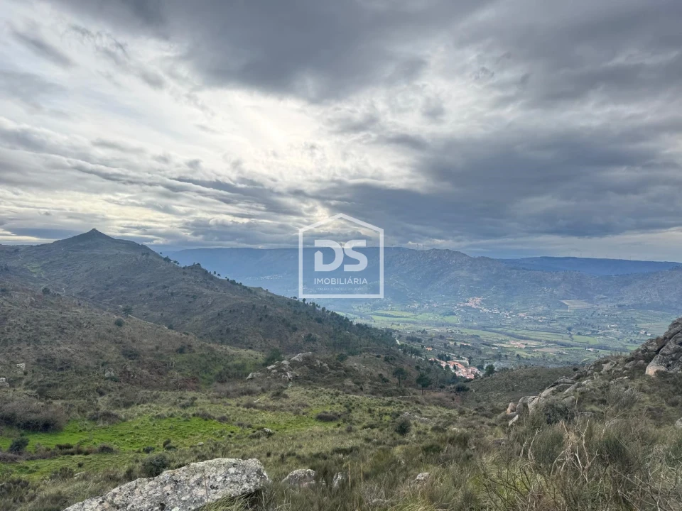 Quinta T0 para Venda em Alvendre Foto 3