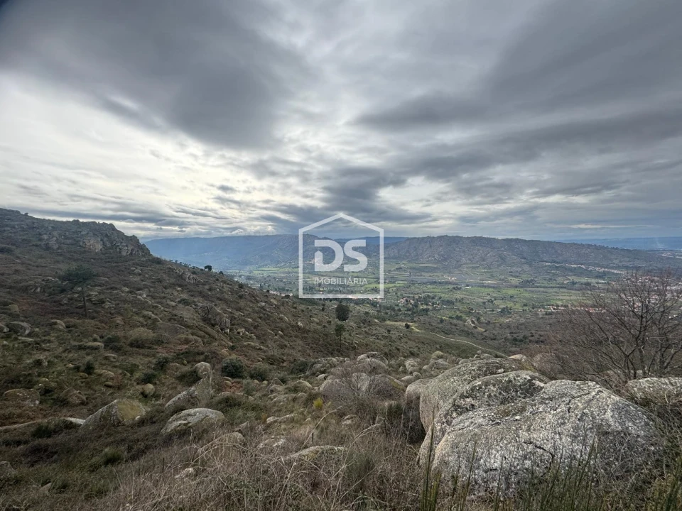 Quinta T0 para Venda em Alvendre Foto 19