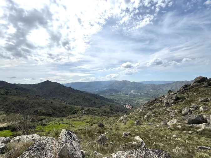 Quinta T0 para Venda em Alvendre Foto 11