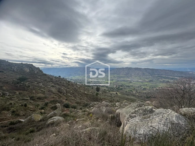 Quinta T0 para Venda em Alvendre Foto 6