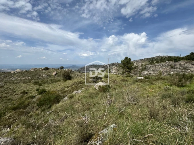 Quinta T0 para Venda em Alvendre Foto 29